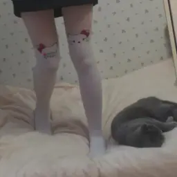 Lanava