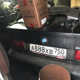 Allj2274