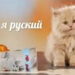 KAtrol