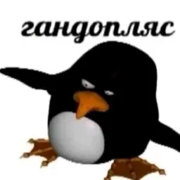 DamirkaTyanka