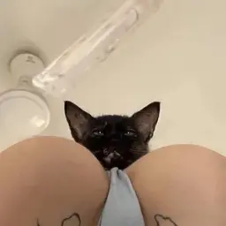 lizhupezdu