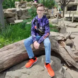 viginskii