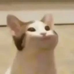 onelj