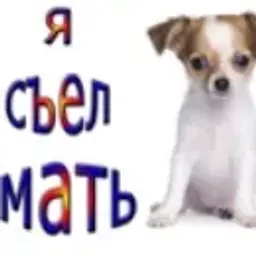 Bien