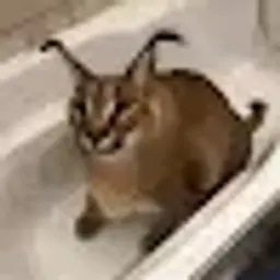 Shlepajddkekssk