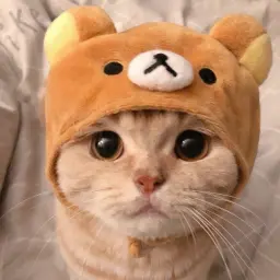 ggnnbb