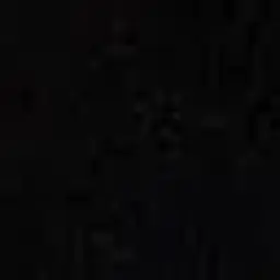 salo_salnoe
