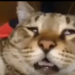 Suslicx