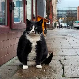 pudge_pj