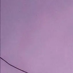 veryrarejoe