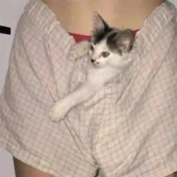 kurt92