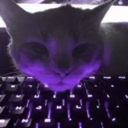 skeez1337