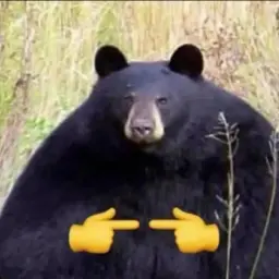 maksim_kul2