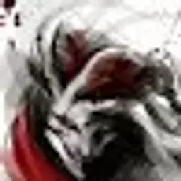 werwolion