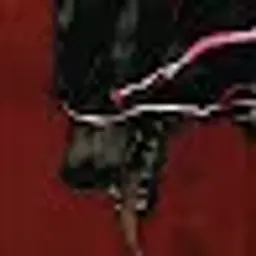 jorikk228