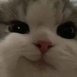 donneryt