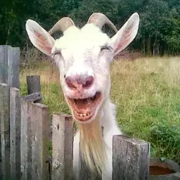 ChidoriXd