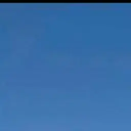 olegw