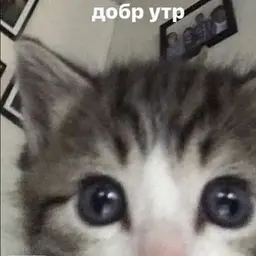 Uebuhutu