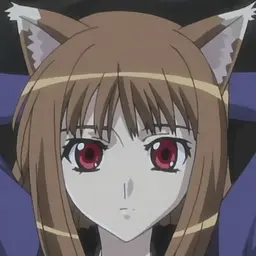 holo_bases