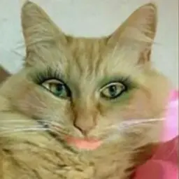 lovekirillll