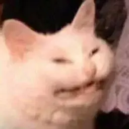 S1lencer