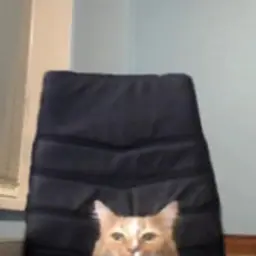 Игнатий