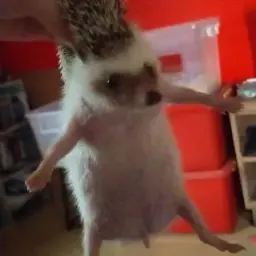 MrEzzhik