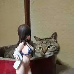 sh1zzaQ