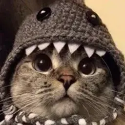 id587776632