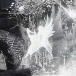 whitekorg