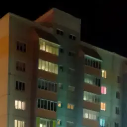 neirosety