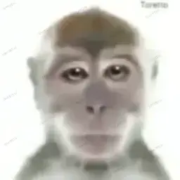 УбийцаКрови