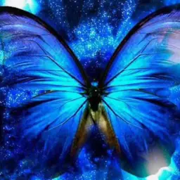 BlckButterfly