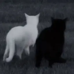 brsrdwll