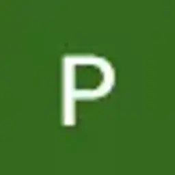 Plys119111