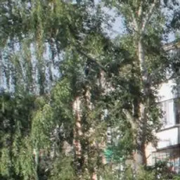 Дима123123_inactive2763812