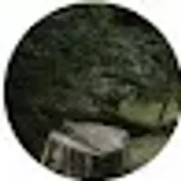 DANEL4652