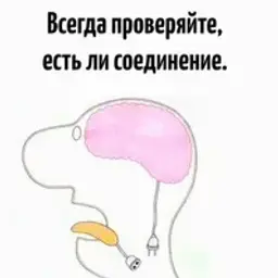 Sertyki