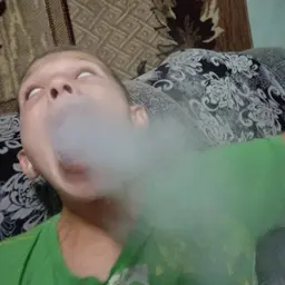 Fleshbery