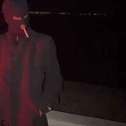Zendooo