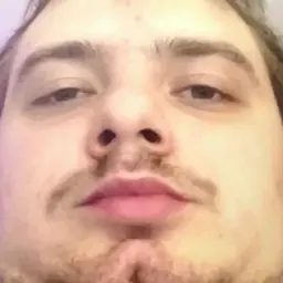 Streesraker