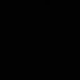 dudishee