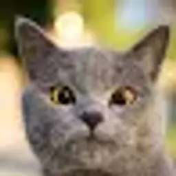 garakoevbashir