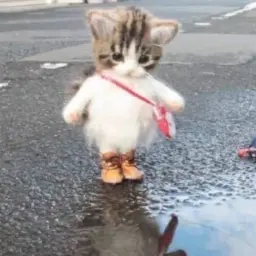 llllllllll