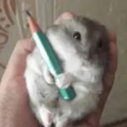 MSkap2