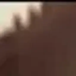 F1xixpi