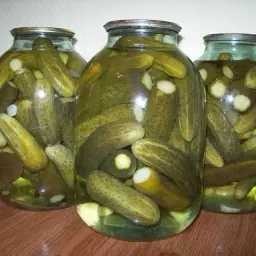 ggorbachgg