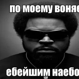 Pussy_you