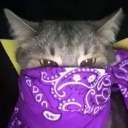 crbariga
